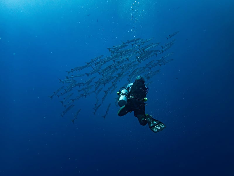 Underwater Exploration